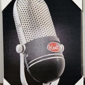Kent Stretch Canvas Microphone Art